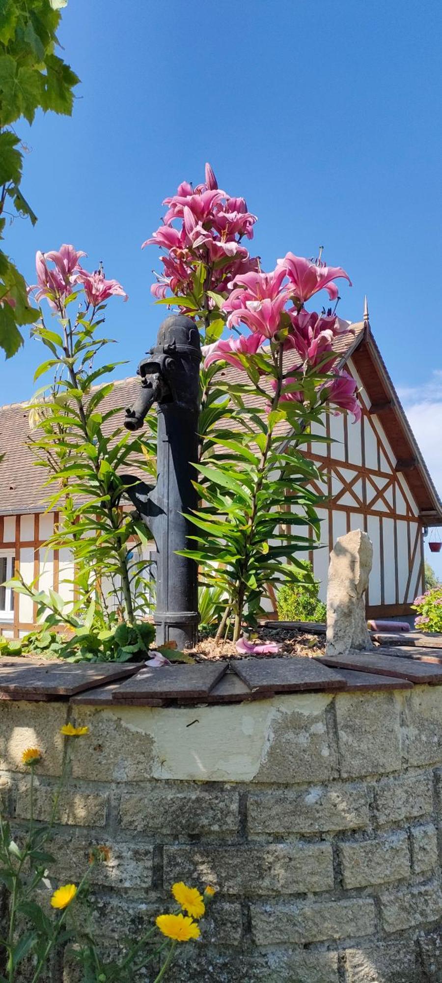 Les Lys Jolie Suite Parentale Privative Deux Adultes Avec Sdd Pertheville-Ners Экстерьер фото